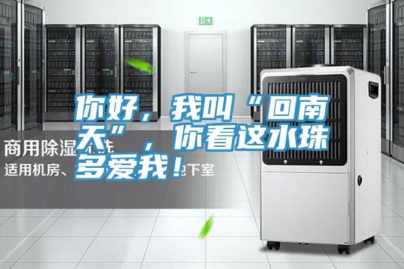 你好，我叫“回南天”，你看這水珠多愛(ài)我！