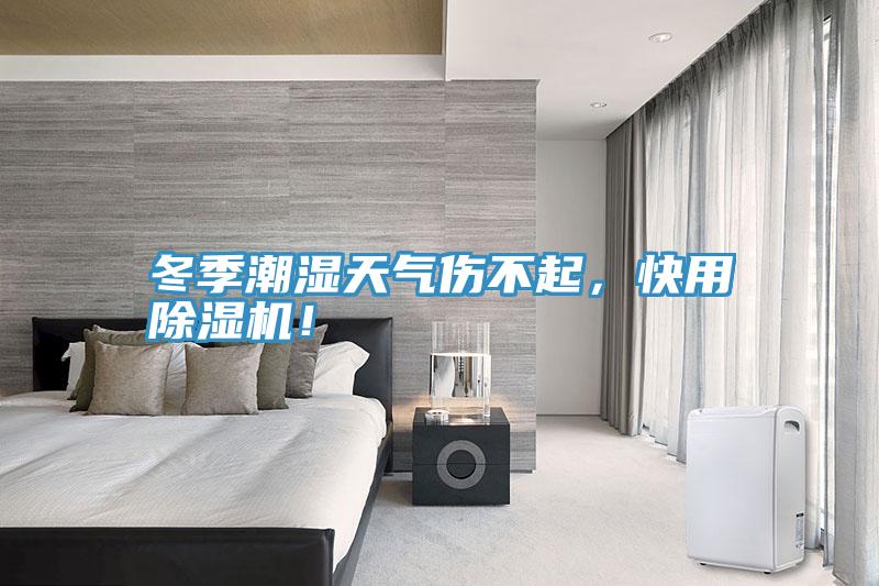 冬季潮濕天氣傷不起，快用除濕機！