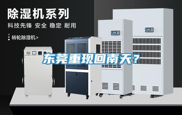 東莞重現(xiàn)回南天？