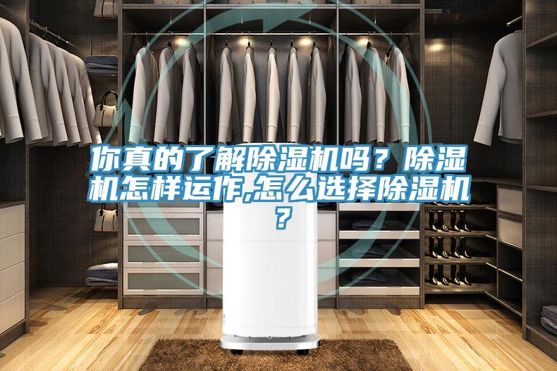 你真的了解除濕機嗎？除濕機怎樣運作,怎么選擇除濕機？