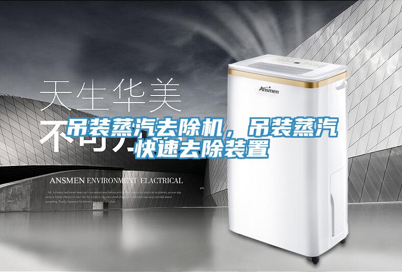 吊裝蒸汽去除機，吊裝蒸汽快速去除裝置