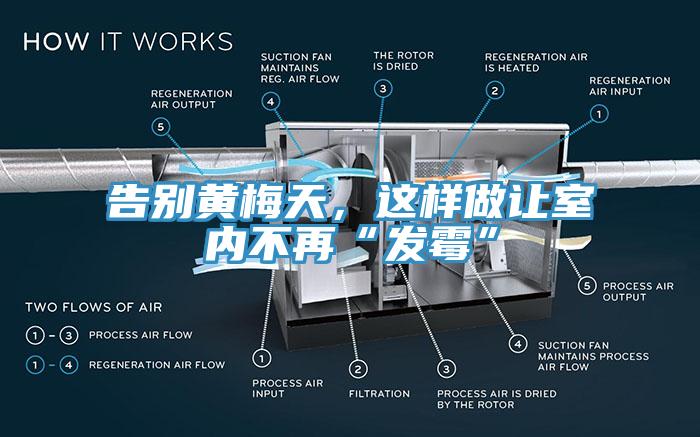 告別黃梅天，這樣做讓室內不再“發霉”
