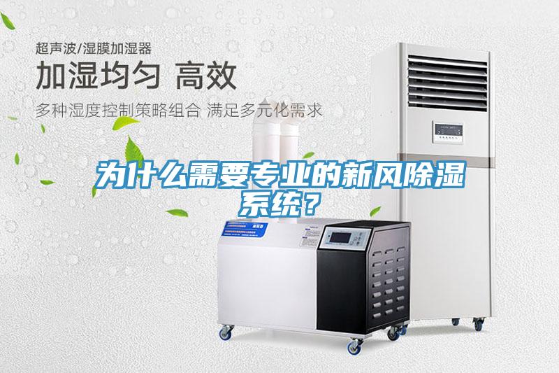 為什么需要專業的新風除濕系統？