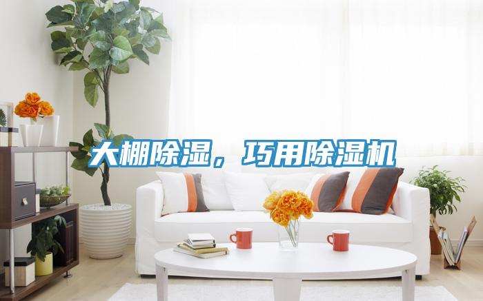 大棚除濕，巧用除濕機