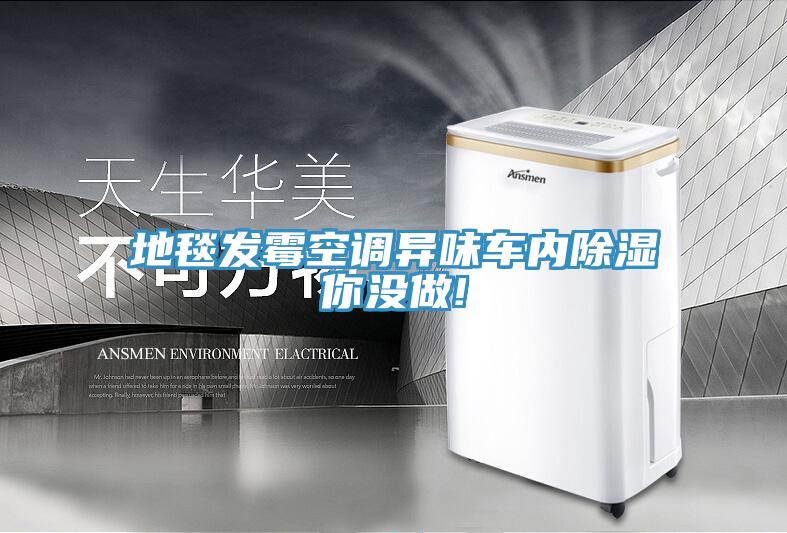 地毯發(fā)霉空調異味車內(nèi)除濕你沒做!