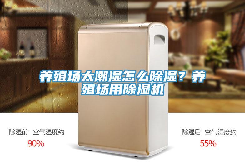 養殖場太潮濕怎么除濕？養殖場用除濕機