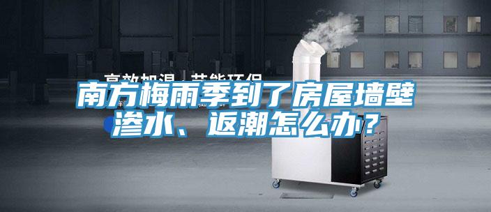 南方梅雨季到了房屋墻壁滲水、返潮怎么辦？