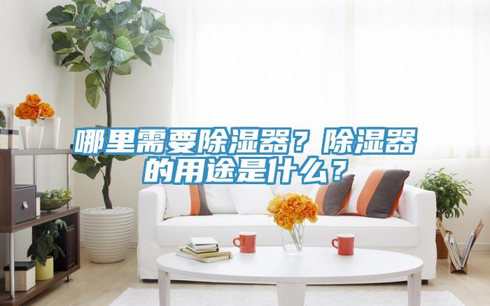 哪里需要除濕器？除濕器的用途是什么？