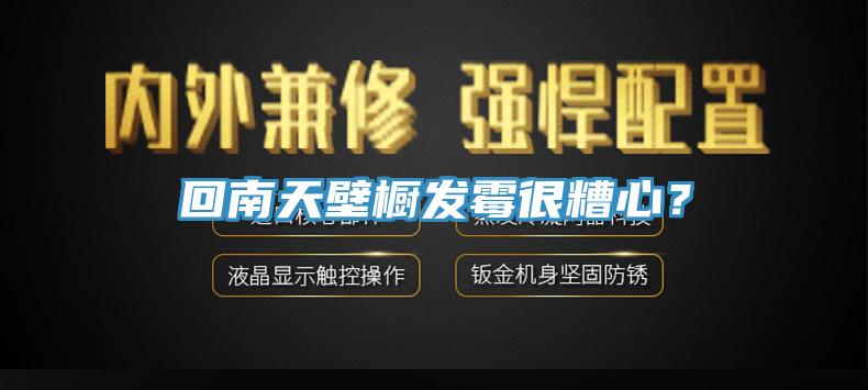 回南天壁櫥發霉很糟心？