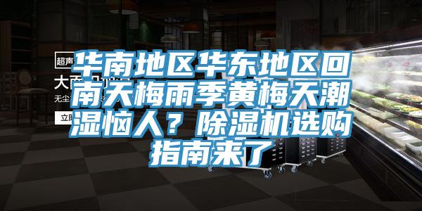 華南地區(qū)華東地區(qū)回南天梅雨季黃梅天潮濕惱人？除濕機選購指南來了