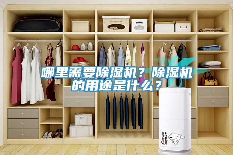哪里需要除濕機(jī)？除濕機(jī)的用途是什么？