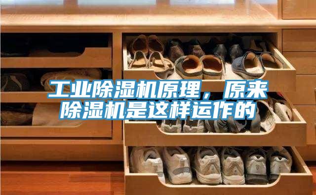 工業(yè)除濕機(jī)原理，原來(lái)除濕機(jī)是這樣運(yùn)作的