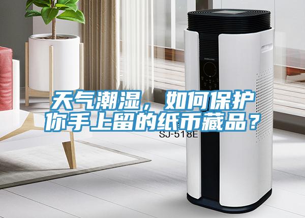 天氣潮濕，如何保護你手上留的紙幣藏品？