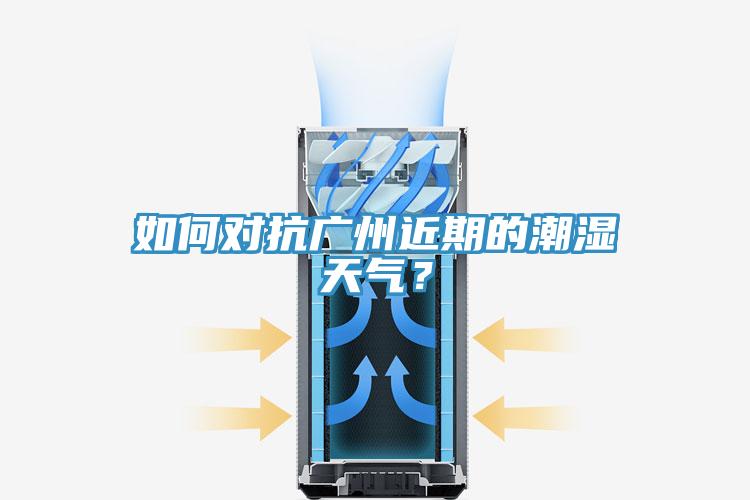 如何對抗廣州近期的潮濕天氣？