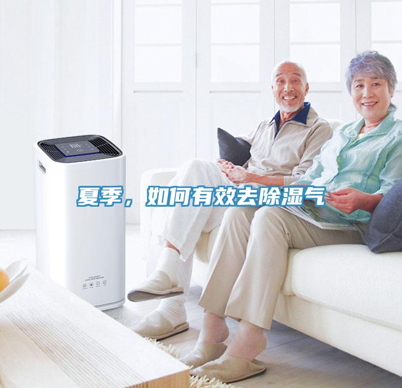 夏季，如何有效去除濕氣