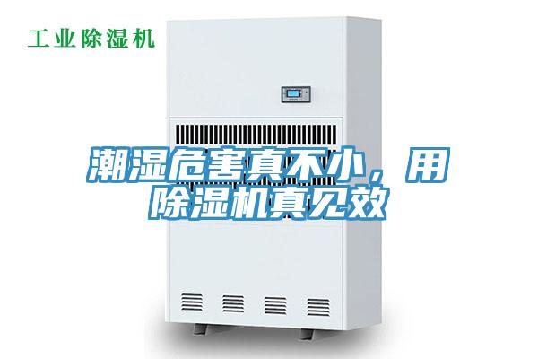 潮濕危害真不小，用除濕機(jī)真見效