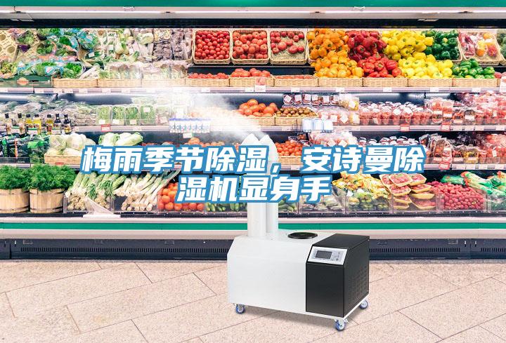 梅雨季節(jié)除濕，安詩曼除濕機(jī)顯身手
