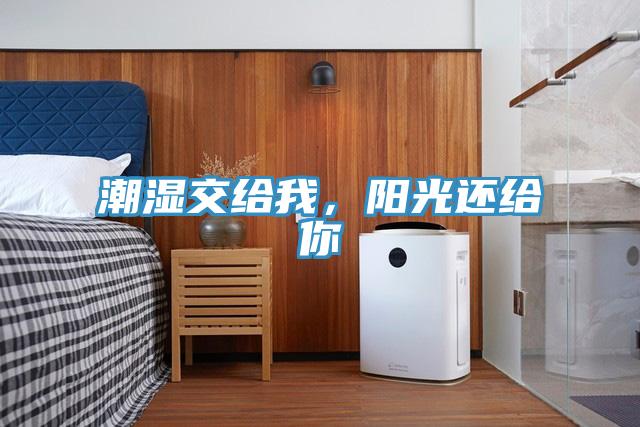潮濕交給我，陽(yáng)光還給你