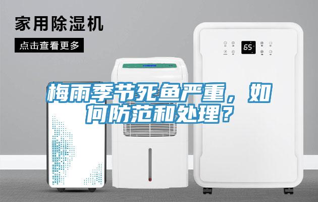 梅雨季節死魚嚴重，如何防范和處理？
