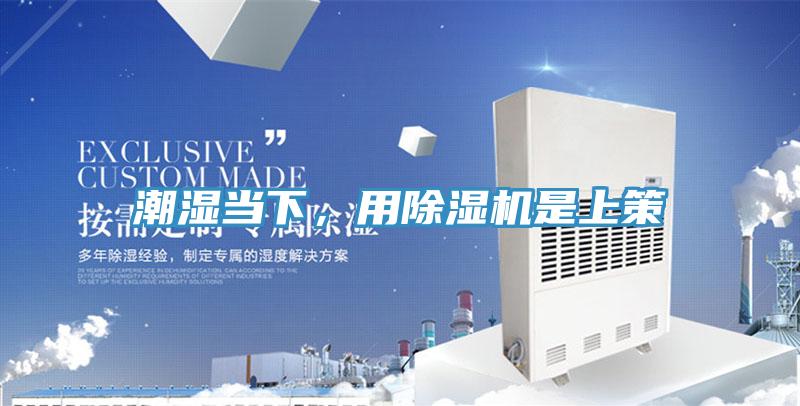 潮濕當下，用除濕機是上策
