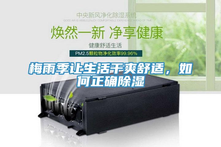 梅雨季讓生活干爽舒適，如何正確除濕
