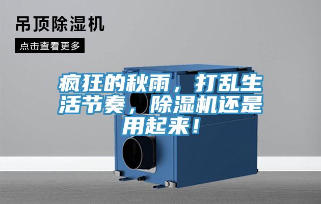 瘋狂的秋雨，打亂生活節奏，除濕機還是用起來！