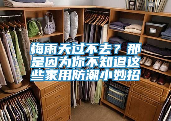 梅雨天過不去？那是因?yàn)槟悴恢肋@些家用防潮小妙招
