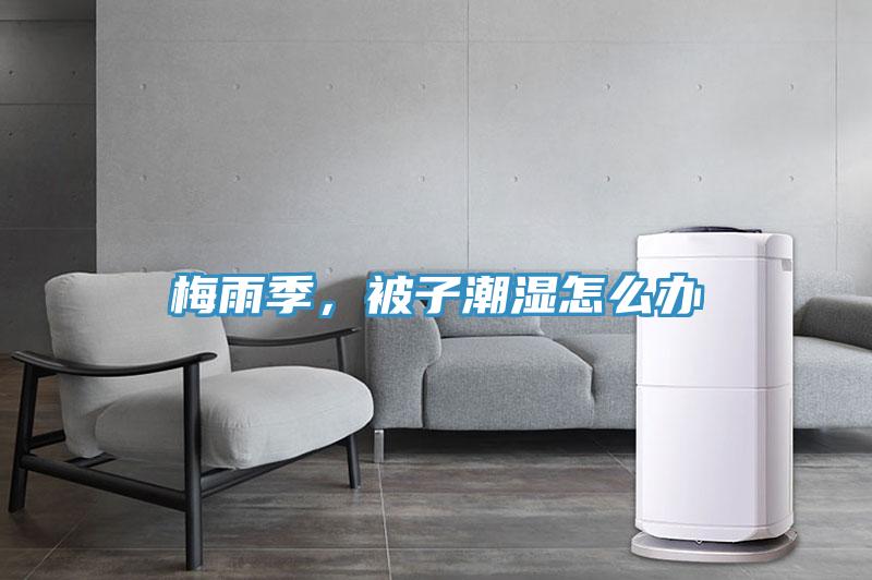 梅雨季，被子潮濕怎么辦