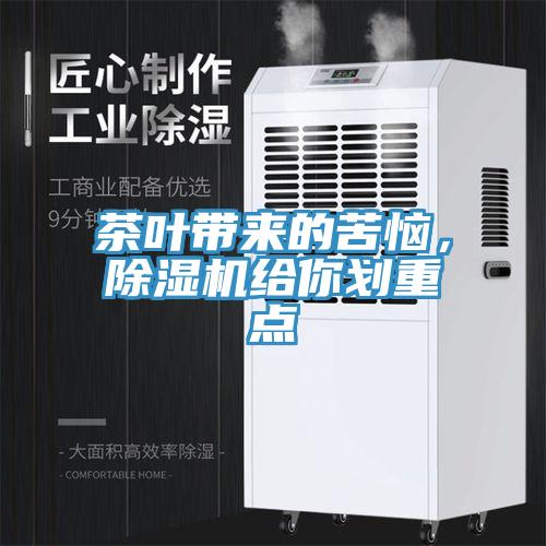 茶葉帶來的苦惱，除濕機給你劃重點