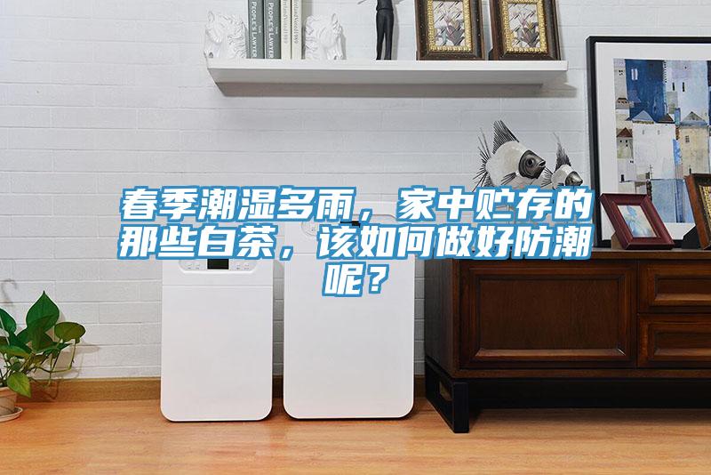 春季潮濕多雨，家中貯存的那些白茶，該如何做好防潮呢？