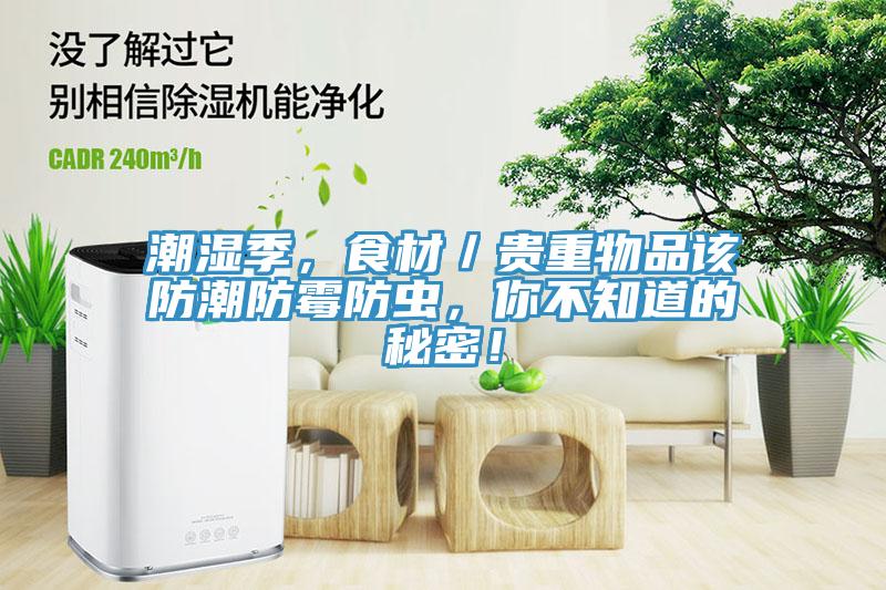 潮濕季，食材／貴重物品該防潮防霉防蟲，你不知道的秘密！