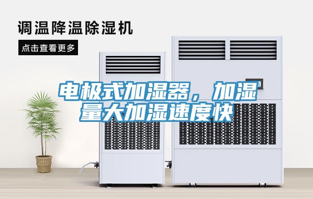 電極式加濕器，加濕量大加濕速度快