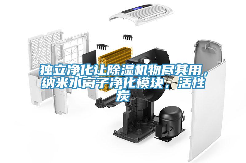 獨立凈化讓除濕機物盡其用，納米水離子凈化模塊，活性炭