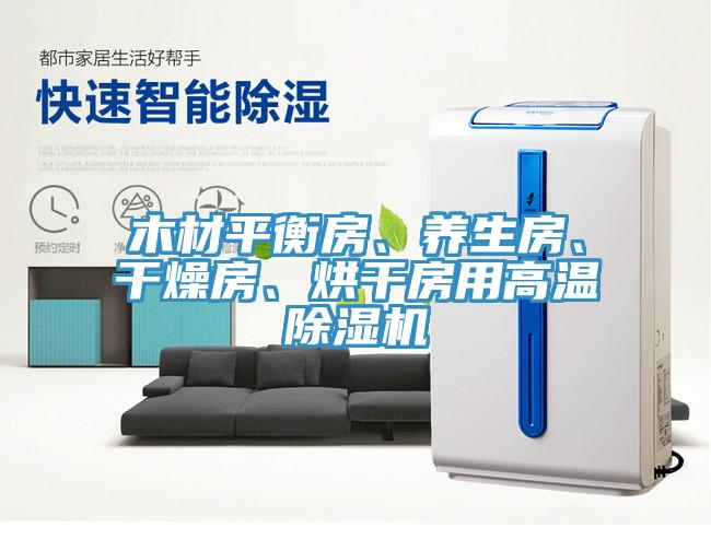 木材平衡房、養生房、干燥房、烘干房用高溫除濕機