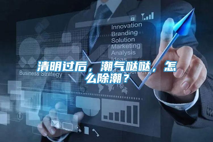 清明過后，潮氣噠噠，怎么除潮？
