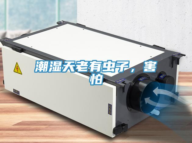 潮濕天老有蟲子，害怕