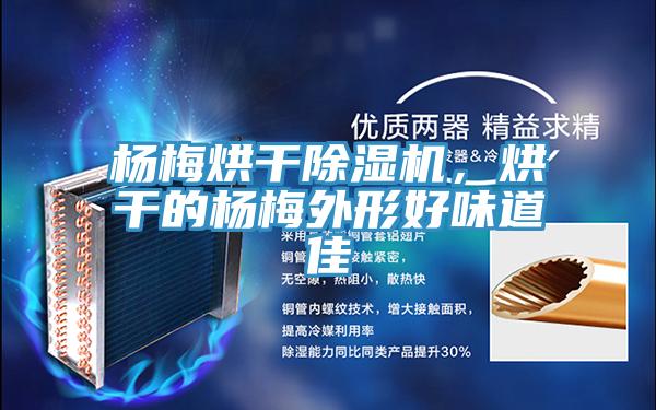 楊梅烘干除濕機，烘干的楊梅外形好味道佳