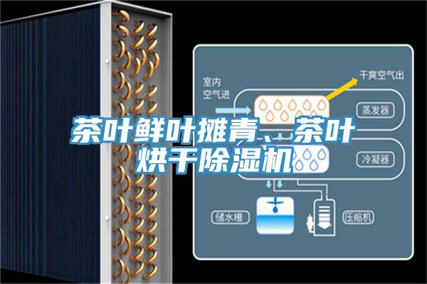 茶葉鮮葉攤青、茶葉烘干除濕機