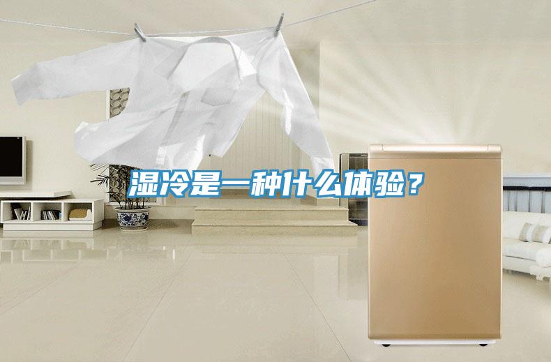 濕冷是一種什么體驗？