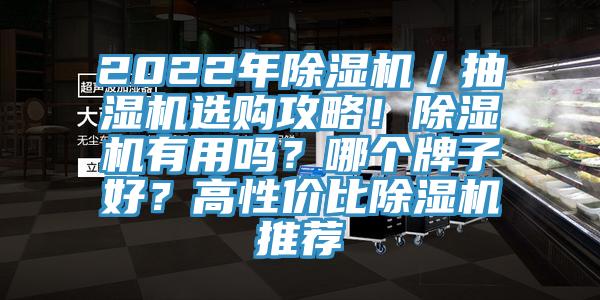 2022年除濕機(jī)／抽濕機(jī)選購(gòu)攻略！除濕機(jī)有用嗎？哪個(gè)牌子好？高性價(jià)比除濕機(jī)推薦