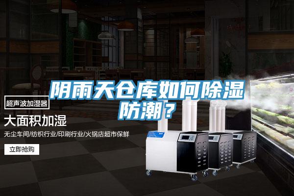 陰雨天倉庫如何除濕防潮？