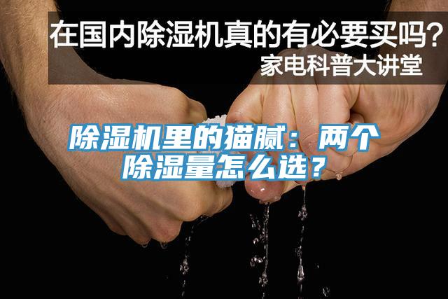 除濕機里的貓膩：兩個除濕量怎么選？