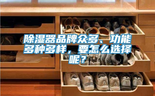 除濕器品牌眾多、功能多種多樣，要怎么選擇呢？