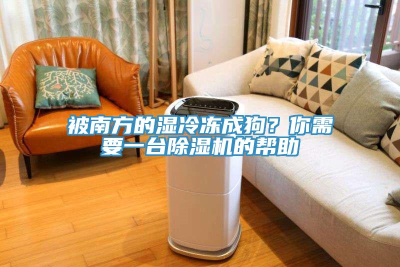 被南方的濕冷凍成狗？你需要一臺除濕機的幫助
