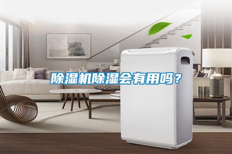 除濕機除濕會有用嗎？