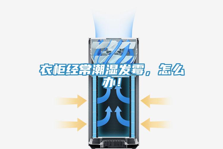 衣柜經常潮濕發霉，怎么辦！
