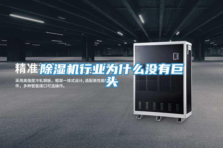 除濕機行業(yè)為什么沒有巨頭
