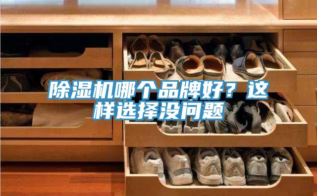 除濕機哪個品牌好？這樣選擇沒問題