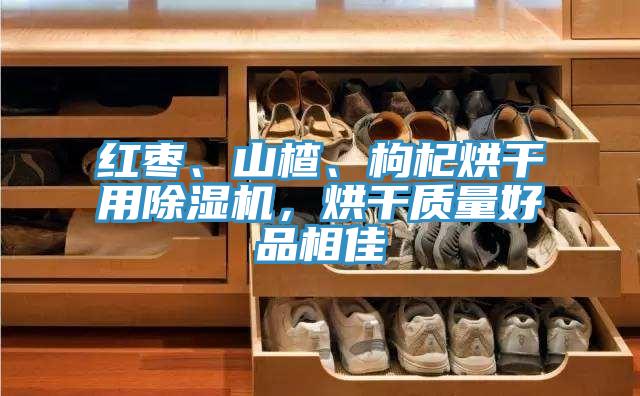 紅棗、山楂、枸杞烘干用除濕機(jī)，烘干質(zhì)量好品相佳