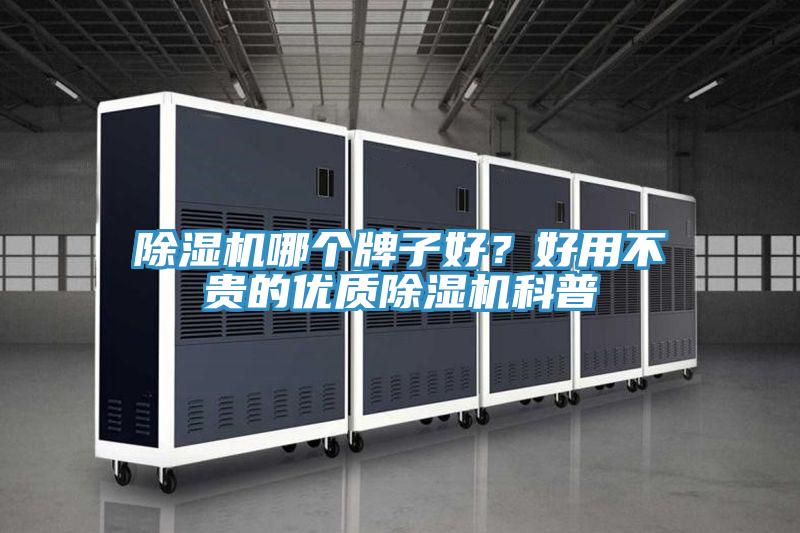 除濕機哪個牌子好？好用不貴的優質除濕機科普